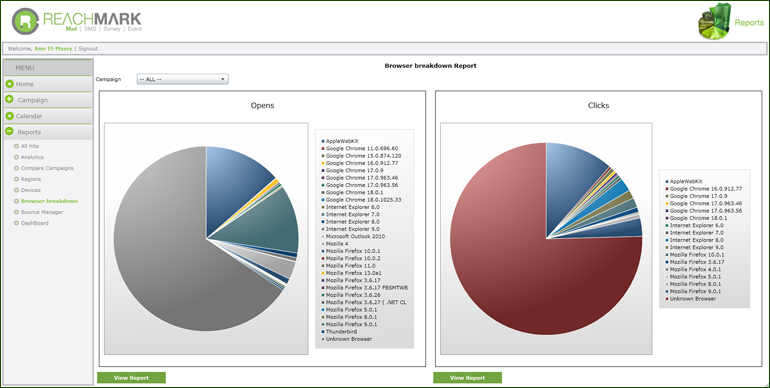 Traffic By Browser Report
